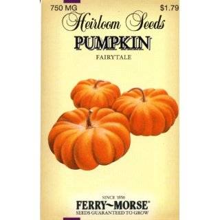 Ferry Morse 3751 Heirloom Seeds Pumpkin   Fairy Tale