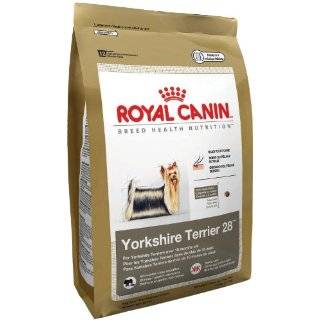  Royal Canin Yorkie Dry Dog Food 10 lb