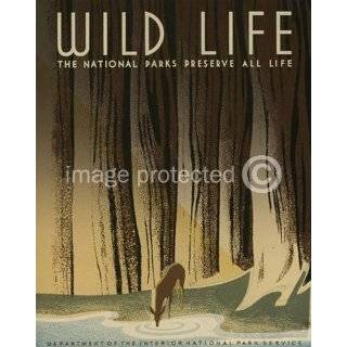  Vintage WPA Travel Poster Print   National Parks Wildlife 