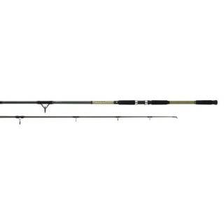Daiwa Sealine Surf 17 40 Line Light Action Spinning Rod (10 Feet)