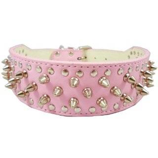  Top Dog Spiked Pink Leather Dog Collar 1 x 18 inch 