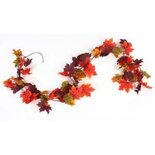  6 Fall Dry Cranberry Garland
