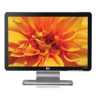 HP W1907 19 inch Widescreen Flat Panel LCD Monitor