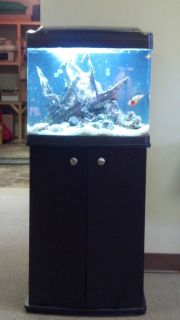 29 Gallon Biocube Aquarium Fish Tank w Stand