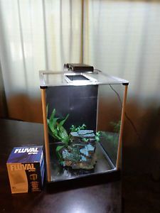 Fluval Spec III Aquarium Kit 10515 2 6 Gallon Black Tank Bright LED Light