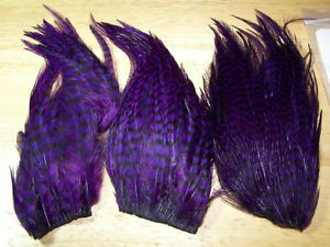 Whiting Woolly Bugger Pack Grizzly Dyed Purple Real Feathers