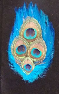 1 Designer Peacock Feathers on Turquoise Feather Pad