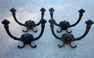 4 Antique Solid Brass Lion's Head Double Hall Tree Hat Coat Hooks