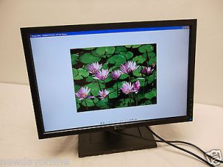 Dell 19" Widescreen LCD Flat Panel Monitor DVI w HDCP VGA 1440 x 900 E1910 T571R 85710390
