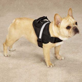 Guardian Gear Excursion Pet Dog Harness Quick Release Grab Handle Reflective