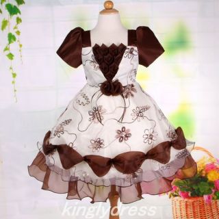 New Flower Girl Pageant Wedding Bridesmaid Party Princess Dress Brown SZ 2T V179