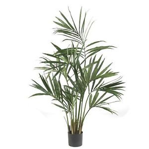 Decorative Natural Looking Artificial 5' Potted Kentia Silk Palm Tree Plants