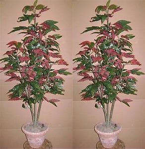 2 Artificial 5' Red Mango Tree Silk Plant in Urn Decor