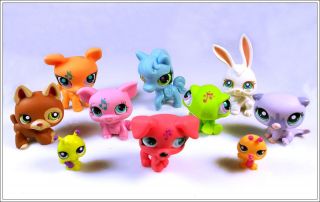 Lot of 10 Littlest Pet Shop LPS Cat Dog Toy Animals Figures Child Girl Xmas PS49