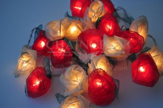 Red White Rose Flowers String Home Indoor Bedroom Decor Fairy Gift Floral Lights