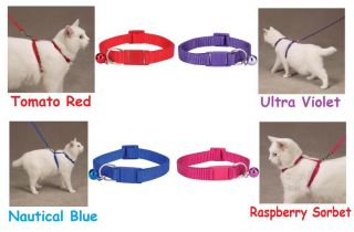 Cat Collars Cat Leads Cat Harnesses Combos Available Too 