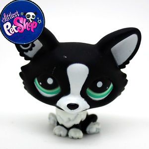 Littlest Pet Shop LPS Toy Chihuahua Black Dog Animal Figures Collection 2160
