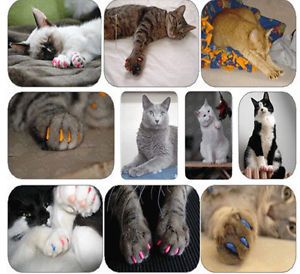 Pet Nail Cap Cat Dog Paw Claw Control Silicone Scratch Stopper 20 Pcs
