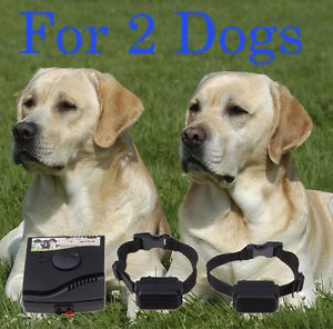 2012 New Waterproof Underground Electric Shock Dog Collar Fence System for 2 Dog
