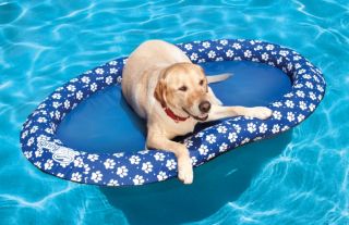 Swimways Spring Float Paddle Paws Puppy Dog Pool Lounger Large 13700