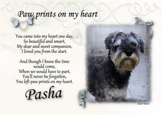 Pet Memorial Paw Prints on My Heart Your Photo Dog Cat Pet Loss Sympathy