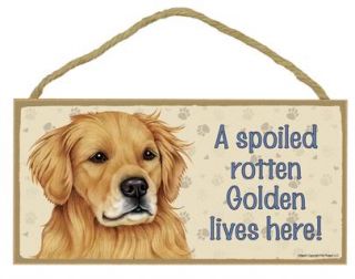 Spoiled Rotten Golden Retriever Lives Here Sign Plaque Dog 10"x5" Gifts Pet