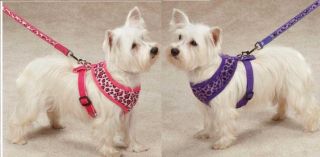 East Side Collection Vibrant Leopard Dog Collars Harnesses Leads Combo Set