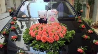 12" 2pcs Kitty Cat Bride Groom Wedding Dresses Doll Wedding Car Decorations