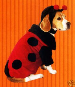 Ladybug Dog Pet Halloween Costume Sheltie Terrier Large