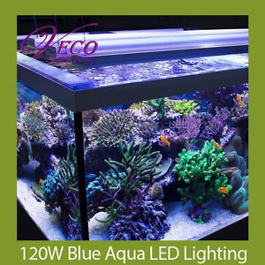 120W Blue Aqua LED Lighting 4200LUM Aquarium Coral Reef Fish Tank Water Light