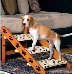 Pet Ramp Steps by Etna Products