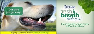 Tropiclean Instant Fresh Breath Foam 4 5 FL oz Dental Clean Pet Dog Cat Teeth