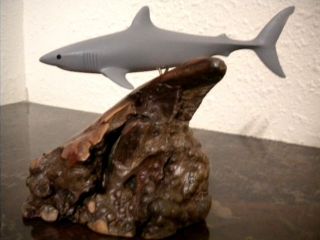 Baby Great White Shark Sculpture Sealife Statue Great Gift John Perry