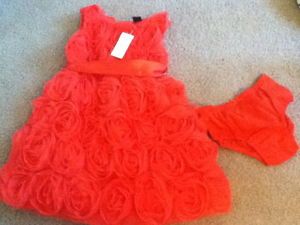 Baby Gap Girls Coral Rosette Tulle Dress with Belt Holiday Wonderland 2T 2