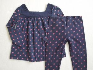 Baby Gap Outfit Size 3T Toddler Girl Set Tunic Leggings Apples Top Pants Lot