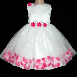 HP476 Baby Pinks White Thanksgiving Pageant Flowers Girls Dresses Sz 1 2 3 4 5T