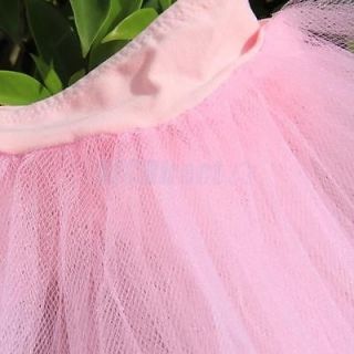 Fairy Tutu Dance Ballet Dress Up Twirly Skirt Costume