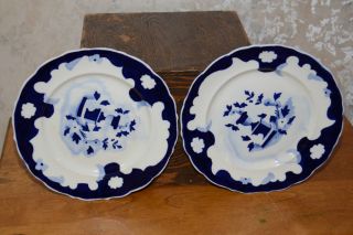 Set 2 Stoneware Dinner Plates Cobalt Blue Floral Design 10" Diameter
