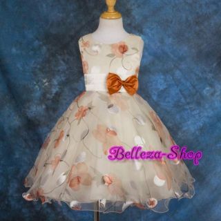 Wedding Flower Girls Party Pageant Dress Size 3T 8