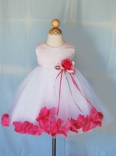 Pink Baby Infant Flower Girl Pageant Formal Petal Dress 6M 12M 18M 24M