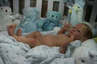 Amy's Dollhouse Lifelike Reborn Baby N Scholl Sold Out Le "Will" MRMH Tummy