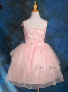 Pink Flower Girls Party Pageant Dress SZ2T 3T DP20