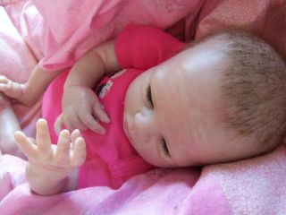 Gorgeous Reborn Baby Girl Once Jewel Now Eve
