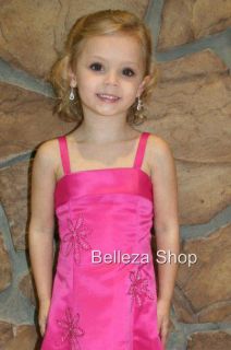 Hot Pink Flower Girls Pageant Dress Wedding Party 2T 3T