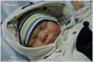 " New " Reborn Baby Boy Bella " Antoine " by Andrea Arcello 107