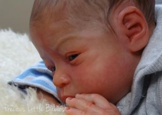 Precious Little Babies Reborn Newborn Baby Boy Doll Will by Natalie Scholl