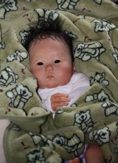 ♥ Doves Nursery ♥ Reborn Real Life Ethnic Baby Girl ♥ A Ping Lau Sculpt