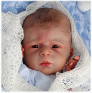 Sugar Plum Nursery Reborn Baby Boy Doll Angel by Olga Auer Ultra Realism