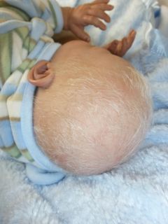 Stunning Sleeping Reborn Baby Boy Doll Nico Gudrun Leger Extremely Realistic