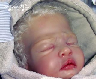 Bambini Dolci Gorgeous Fake Baby Boy Reborn Doll by Laura Lee Eagles